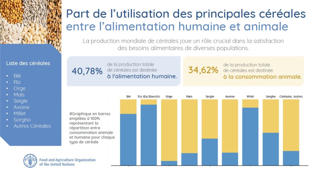 Sous alimentation dans le monde